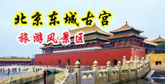 长腿黑丝高跟鞋御姐自慰中国北京-东城古宫旅游风景区